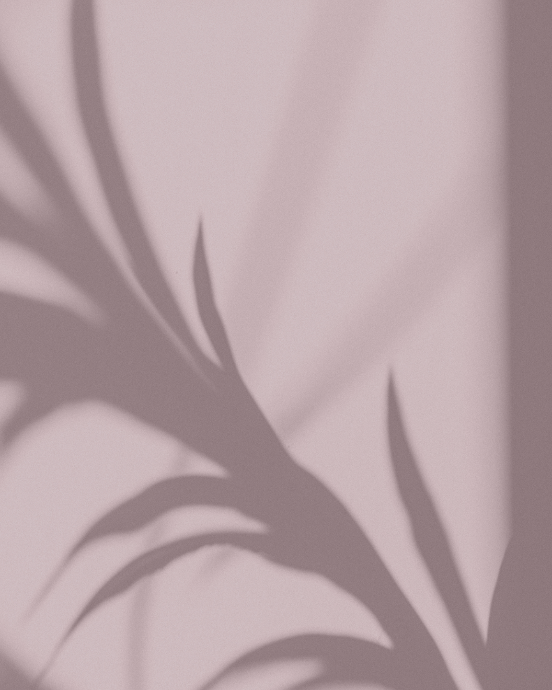 Polarys Communication Agence de Communication à Chambéry